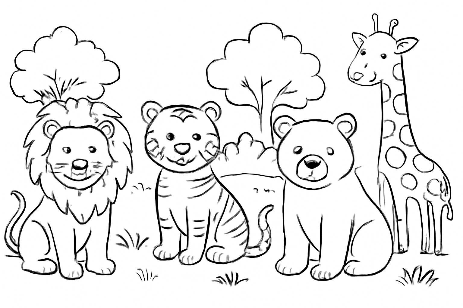 Wild Animals