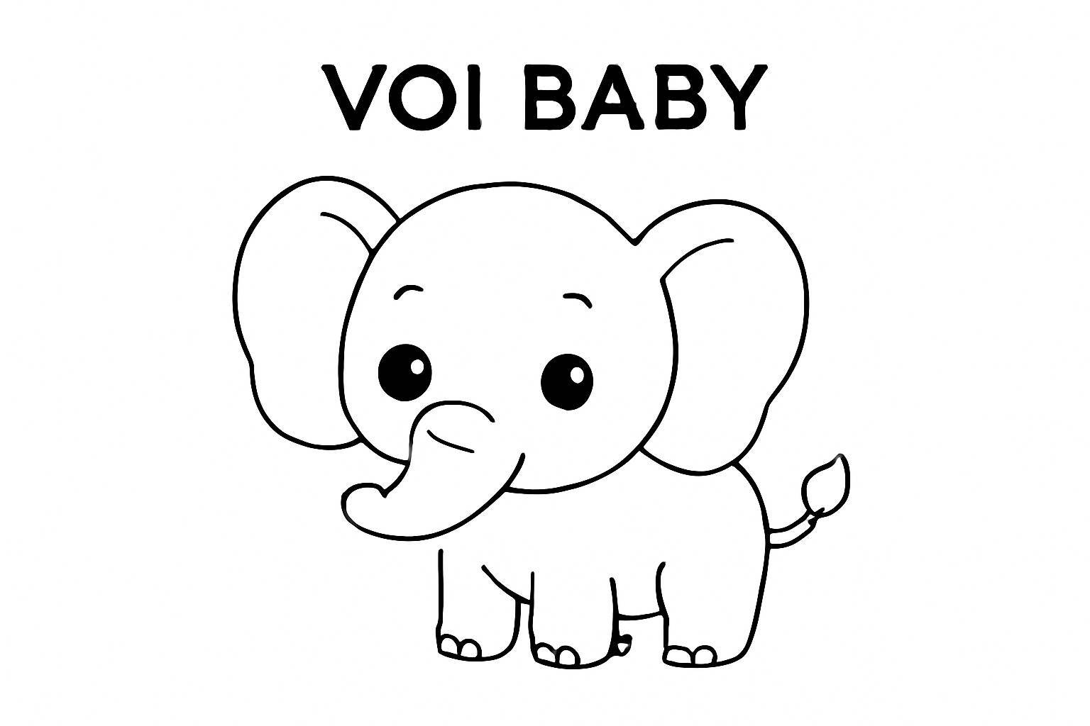 Baby Elephant