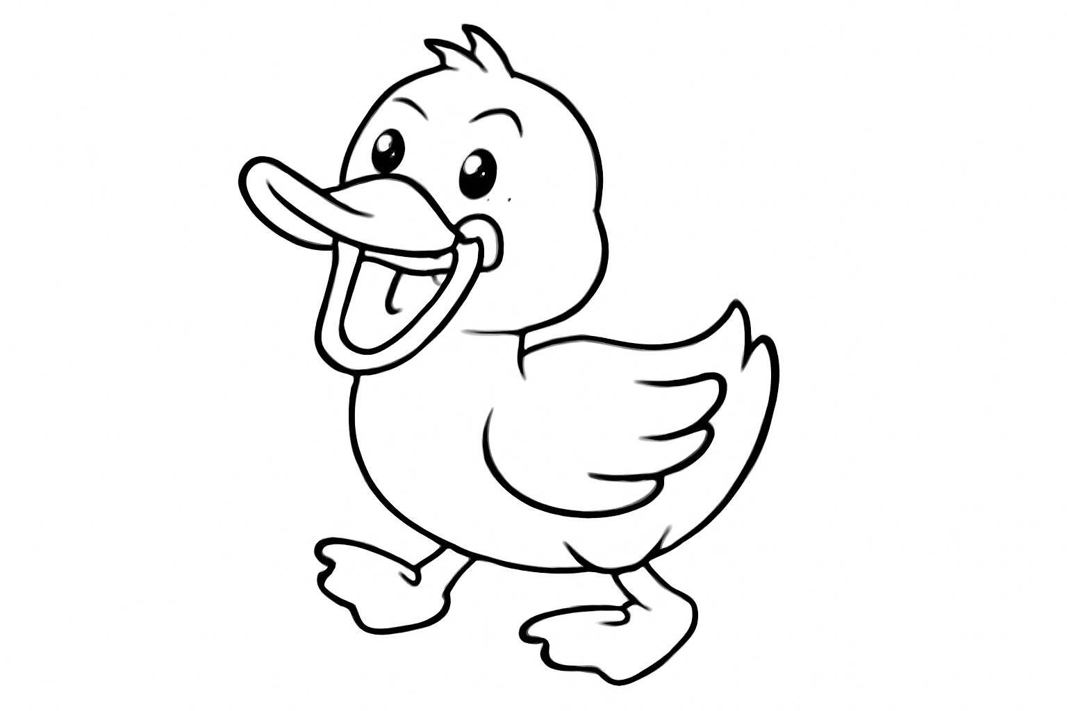Funny Duck
