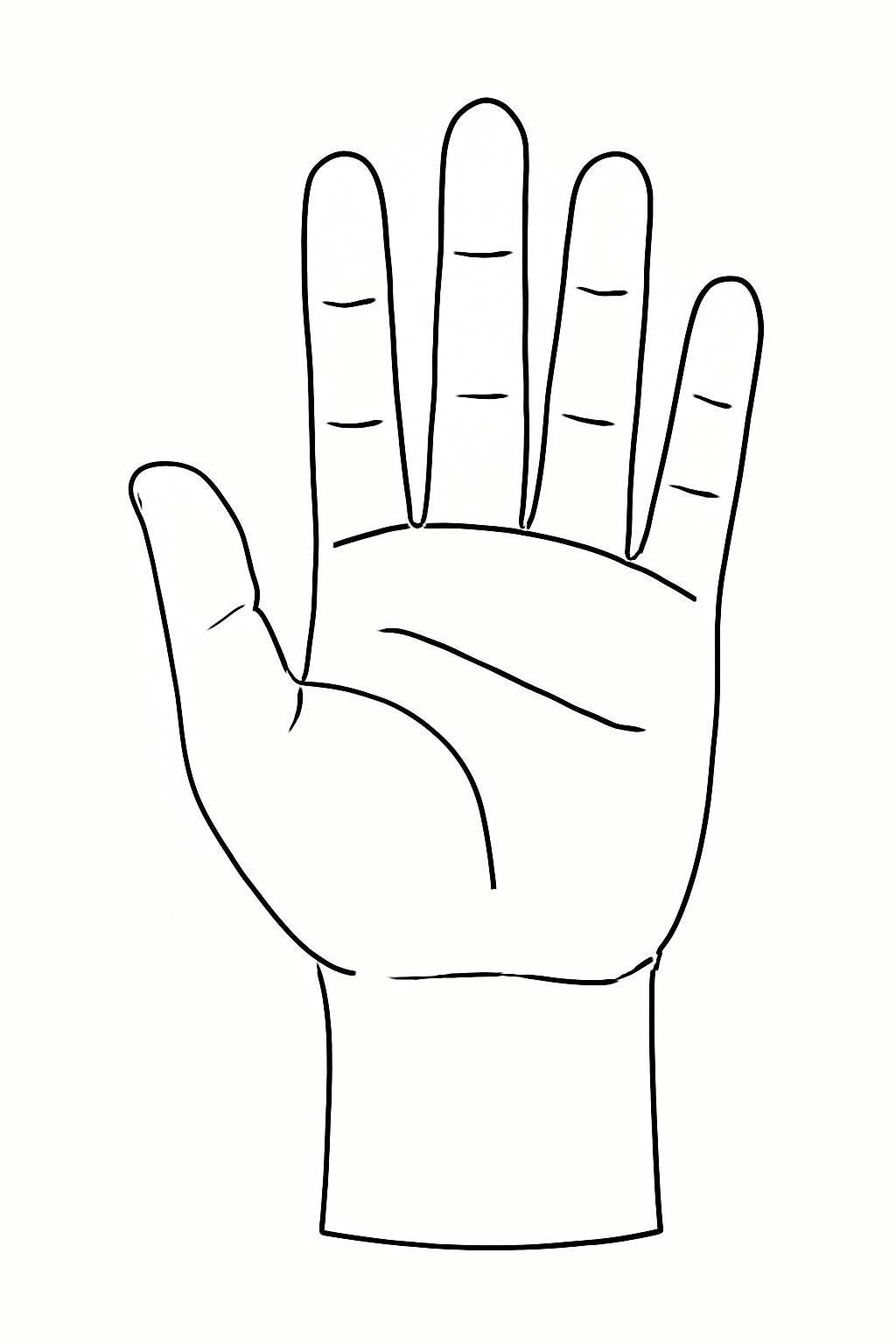 3D Hand