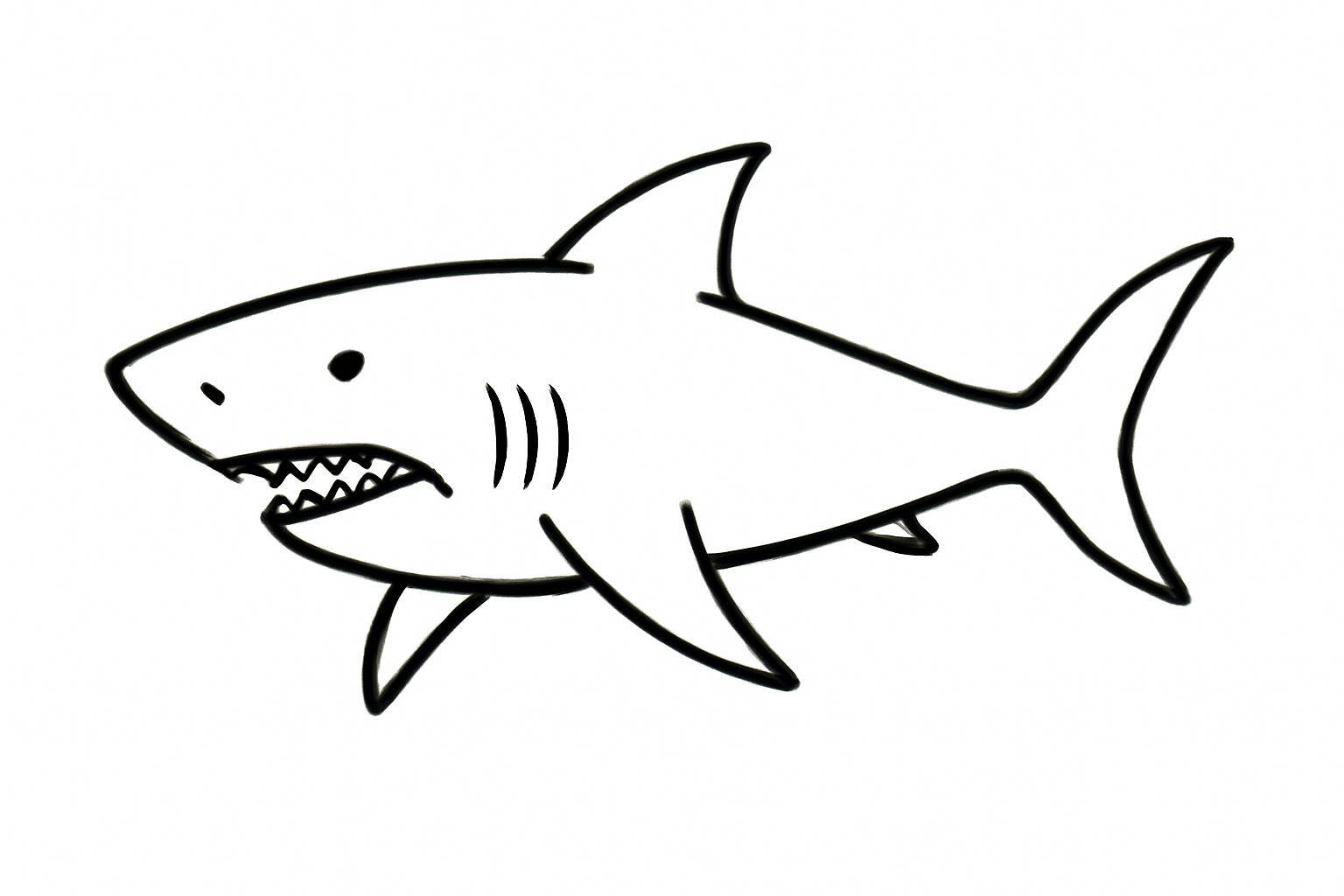 Classic Shark