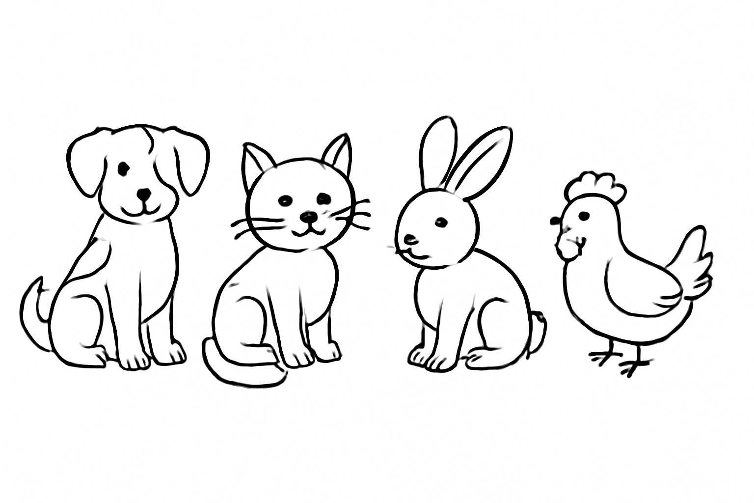 Domestic Animals