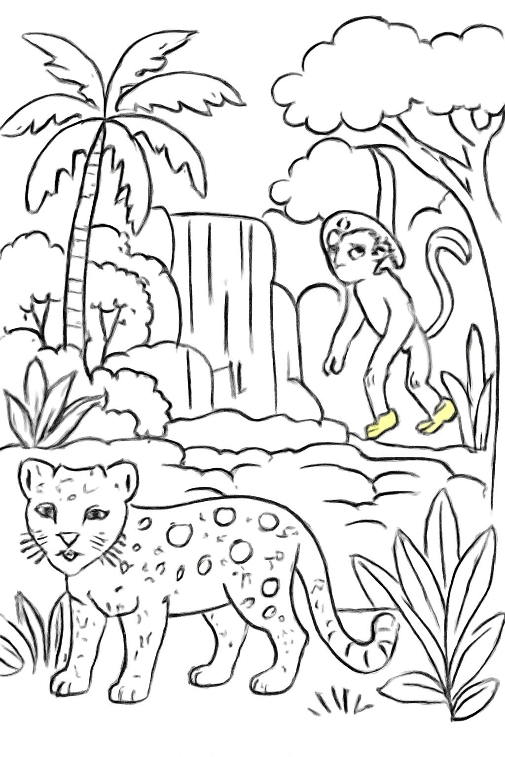 Tropical Forest Landscape
