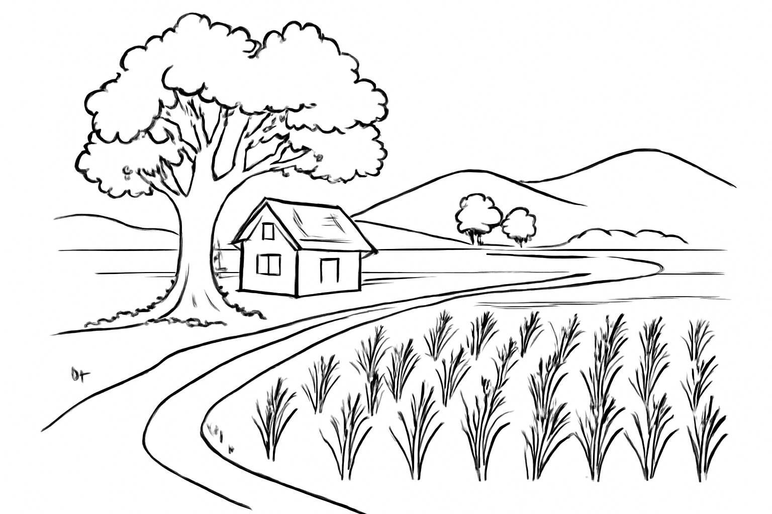 Countryside Landscape