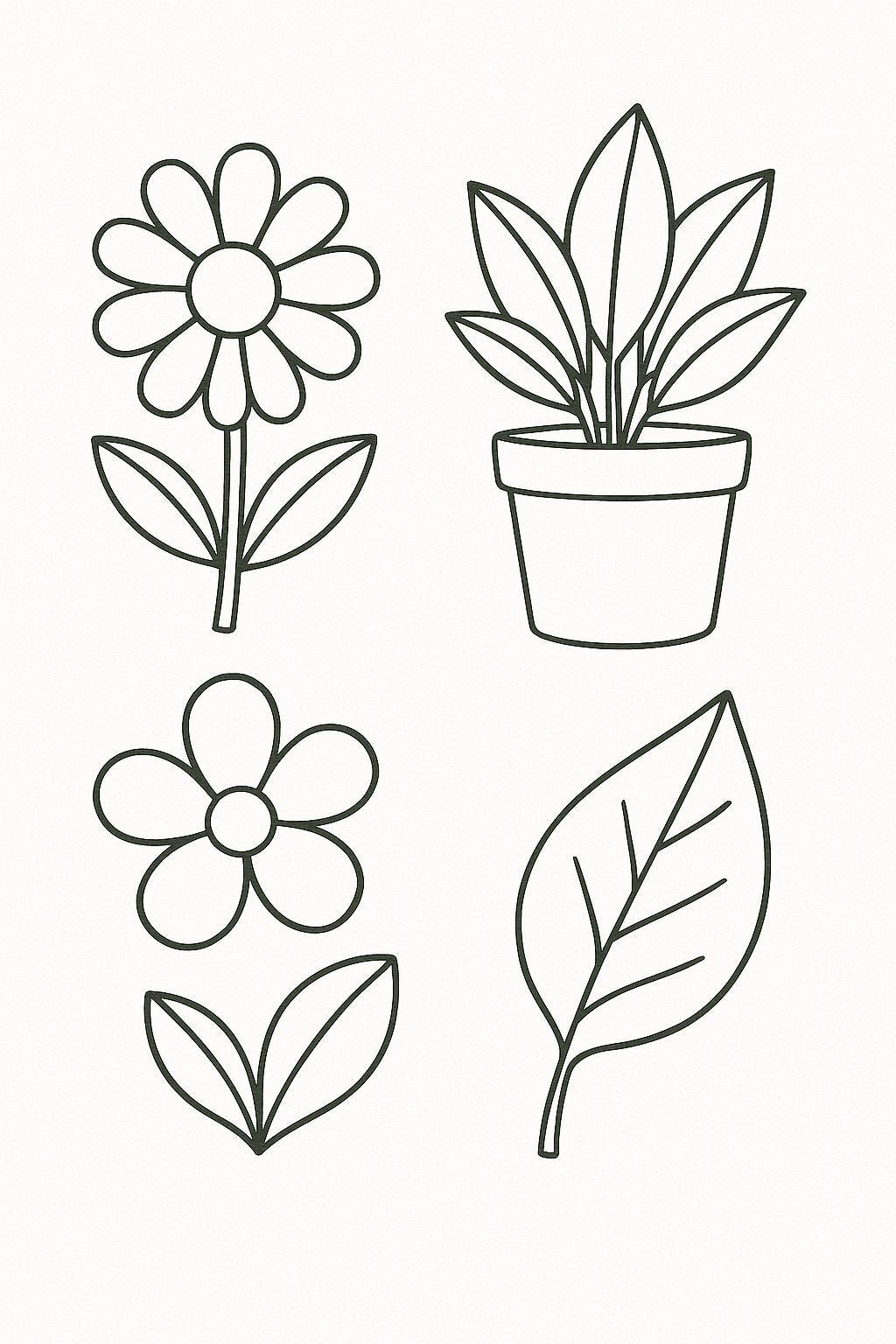 Flowers and Plants