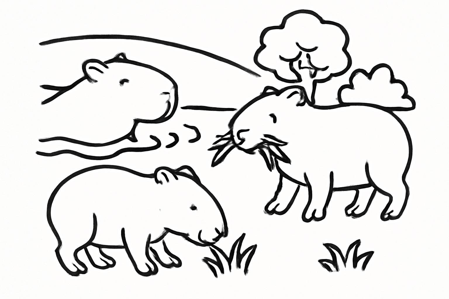 Playful Capybara