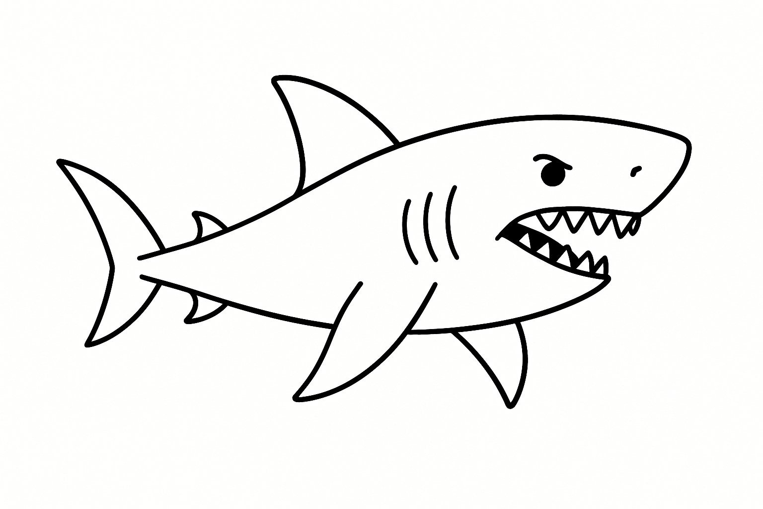 Shark