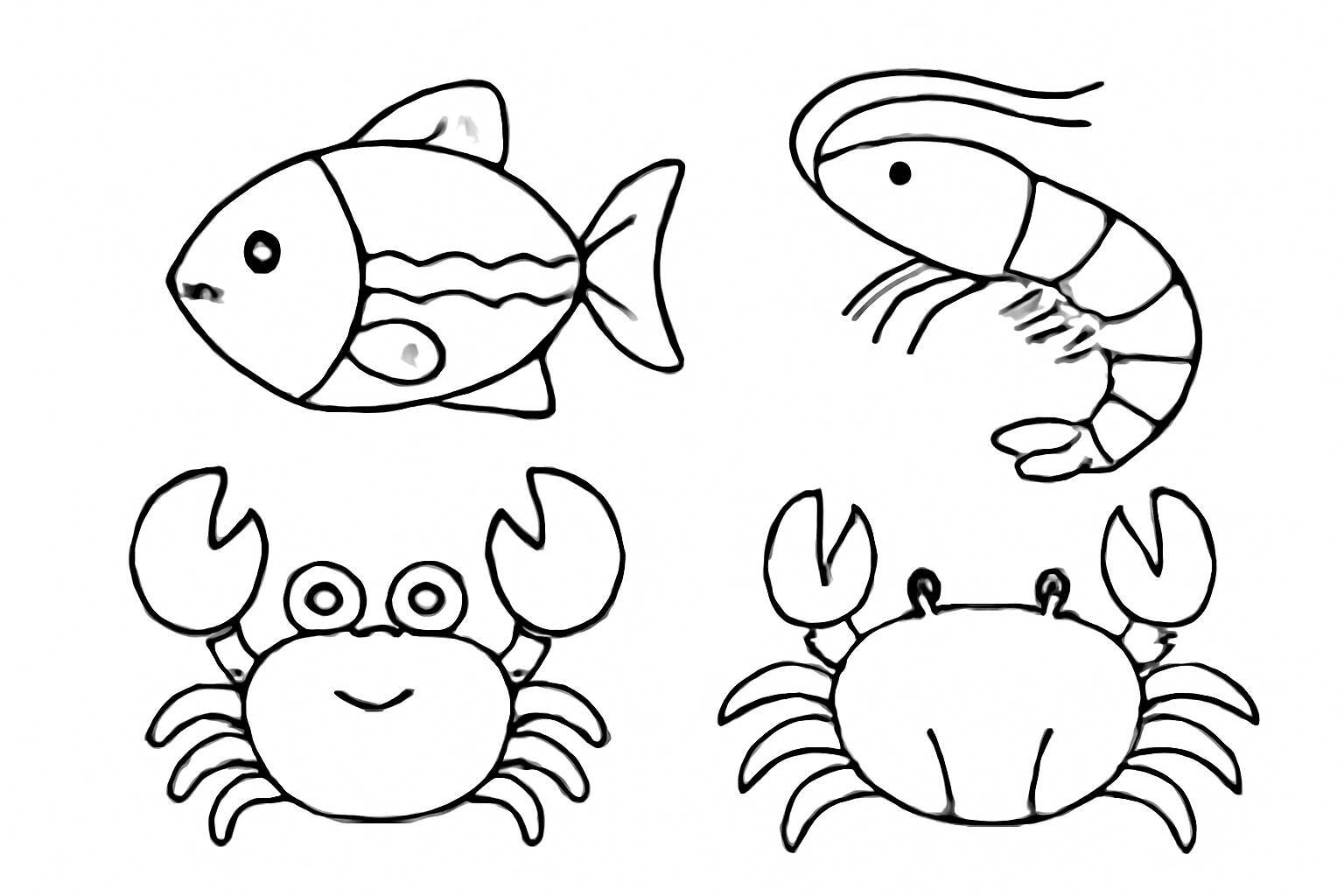 Seafood
