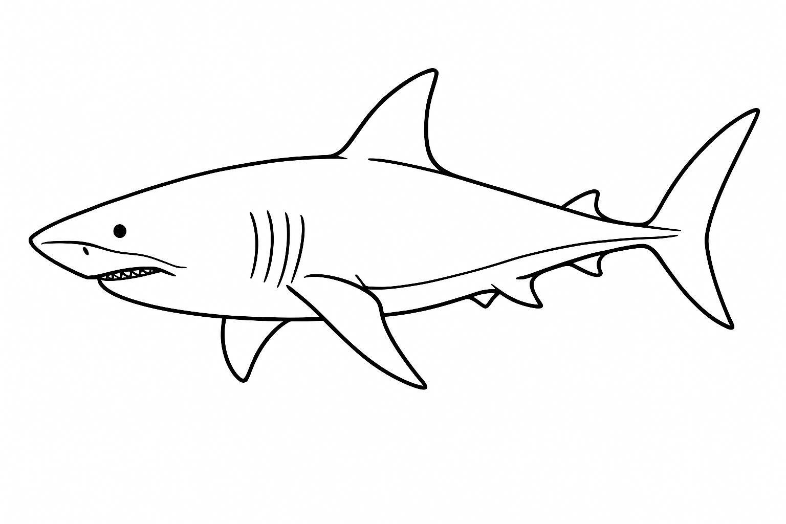 Classic Shark