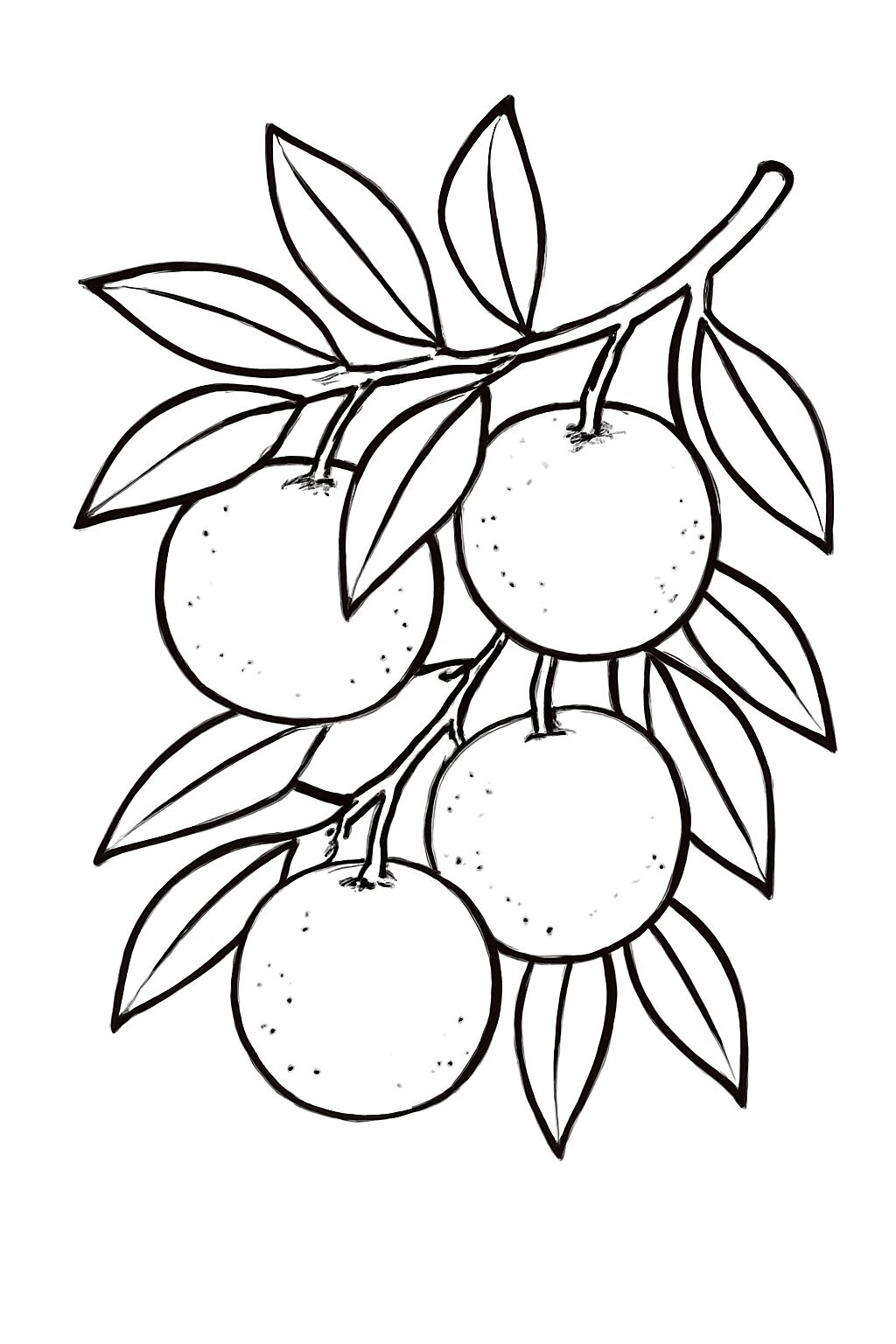 Orange Tree