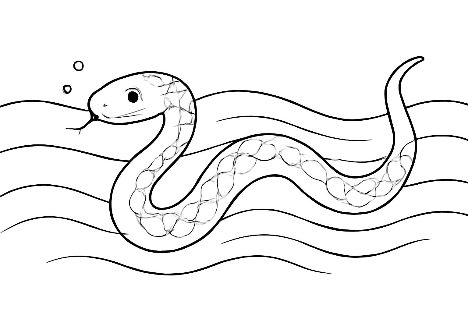 Water Snake