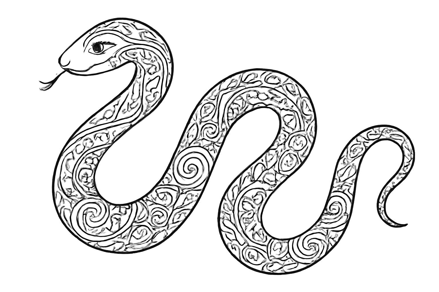 Snake Coloring Pages 2026 - Fun Snake Coloring Sheets for Kids PDF