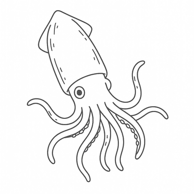 Squid Coloring Pages for Kids – Download PDF 2026