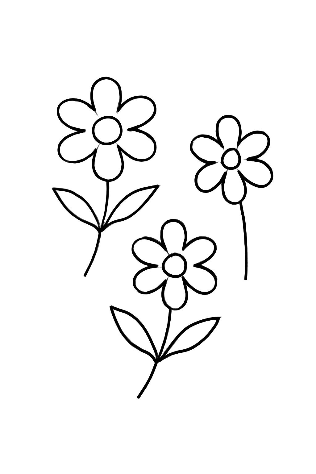 Minimalist Flowers