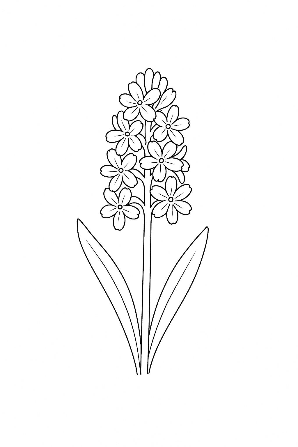 Fragrant Orchid