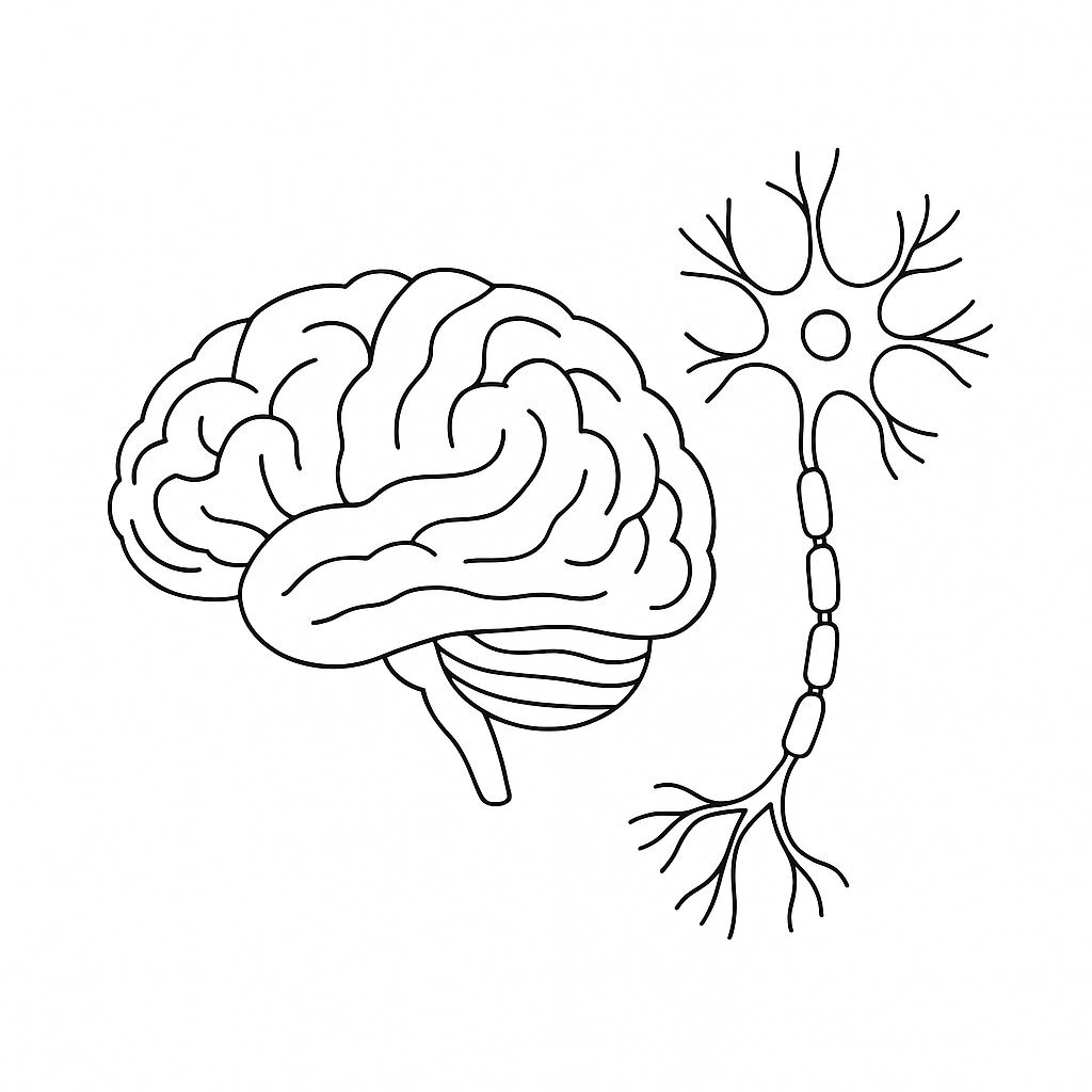 Brain and Nervous System