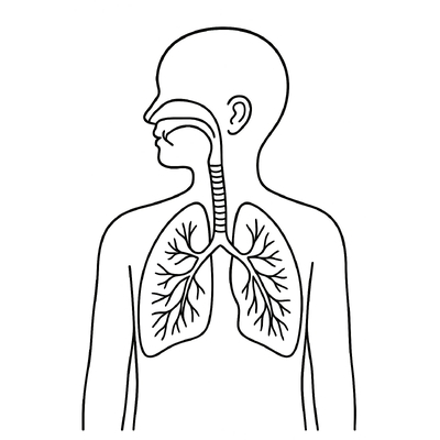 Human Body Parts Coloring Pages for Kids 2026