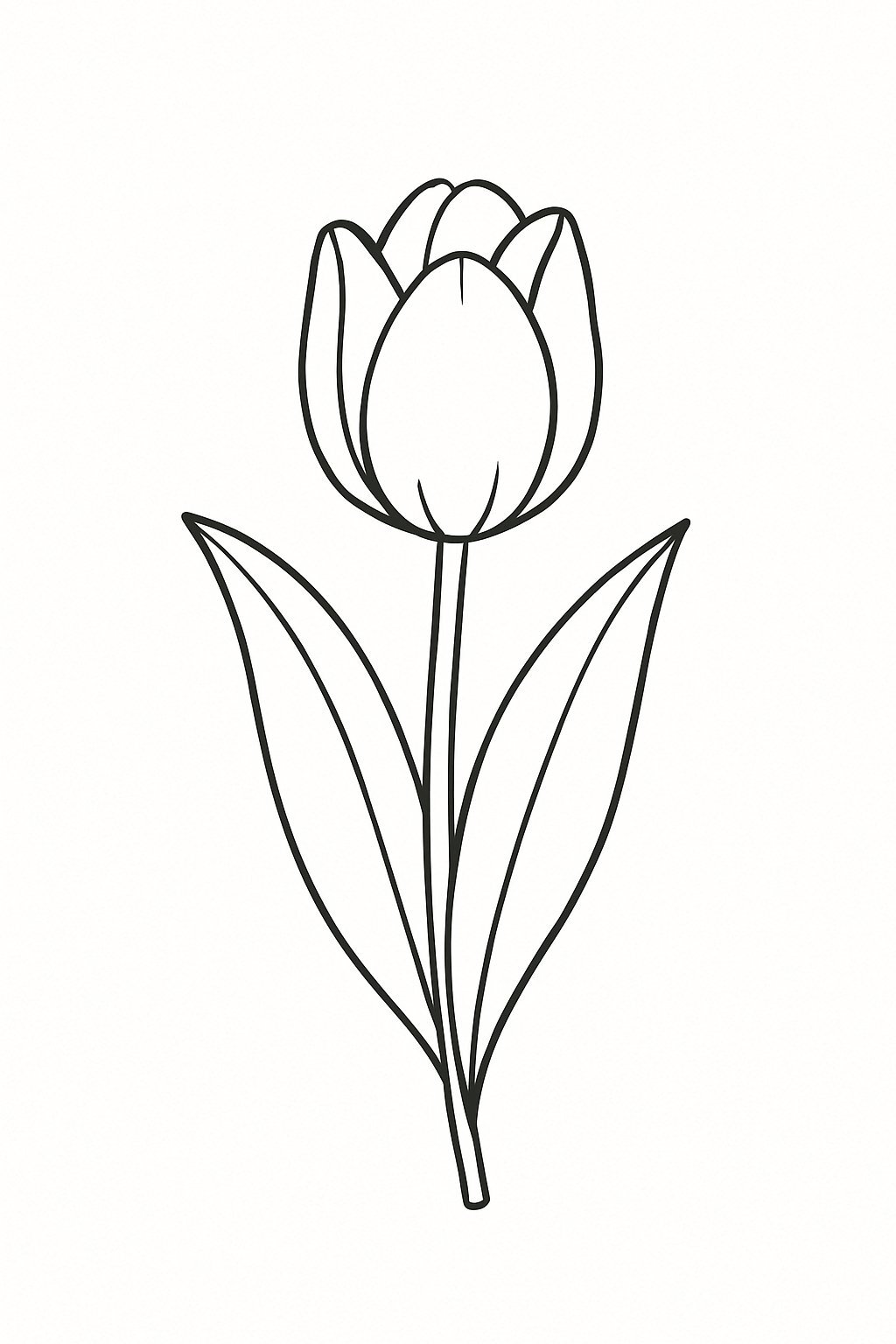 Red Tulips