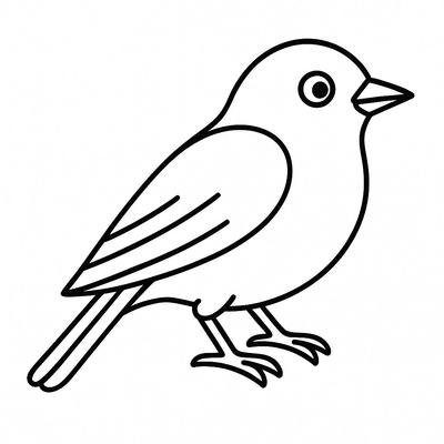 Bird Coloring Pages for Kids 2026 - Free PDF Download