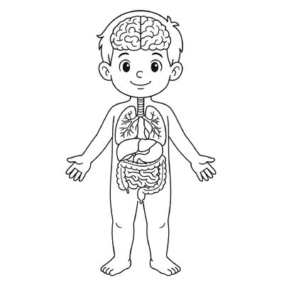 Human Body Coloring Pages for Kids - Coloring Pictures 2026