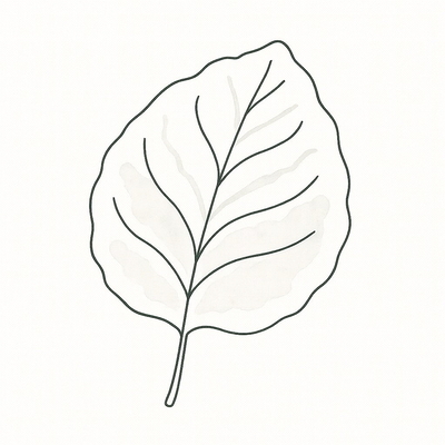 Leaf Coloring Pages for Kids 2026 – Cute and Adorable Designs