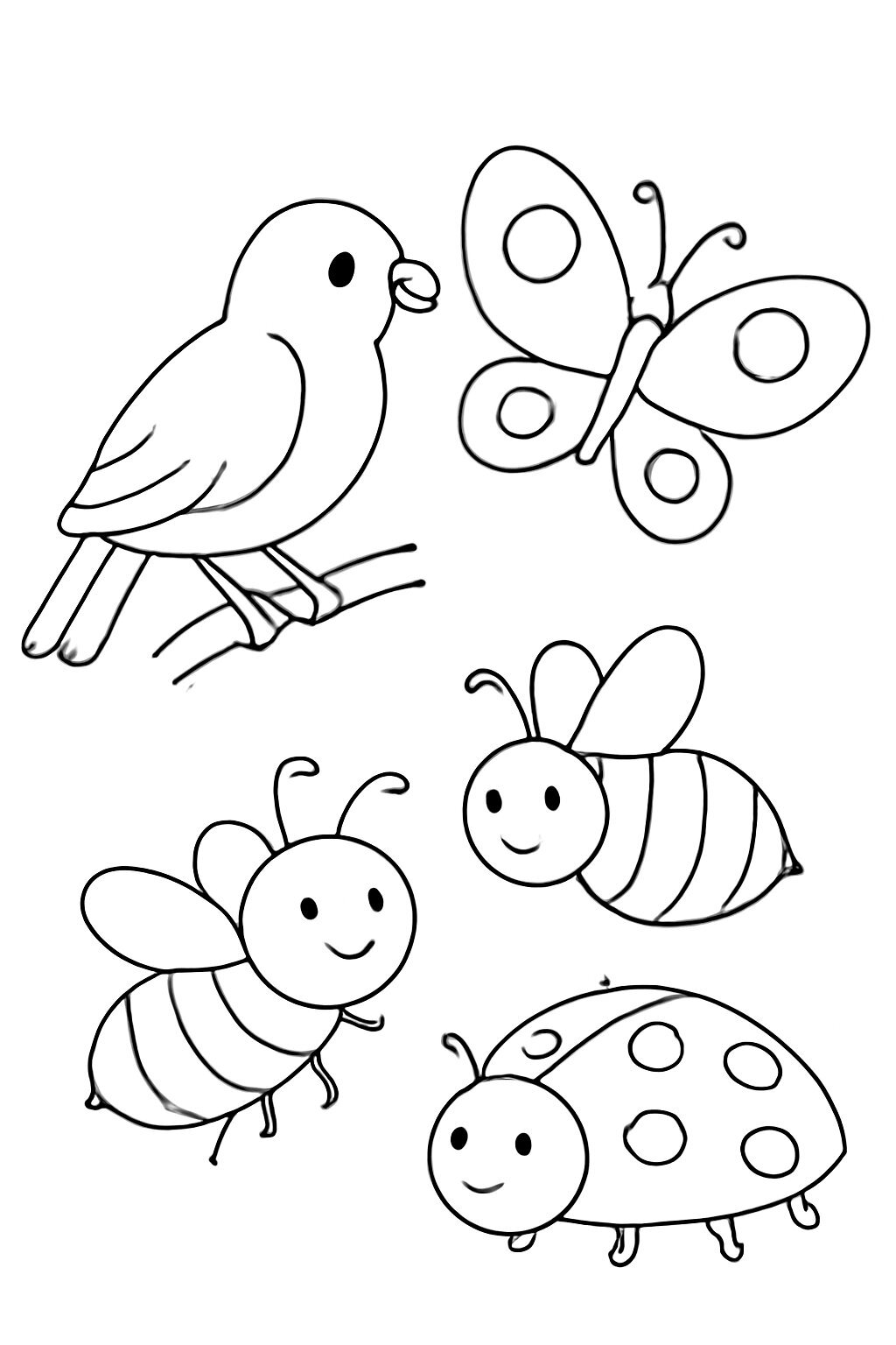 Birds and Insects