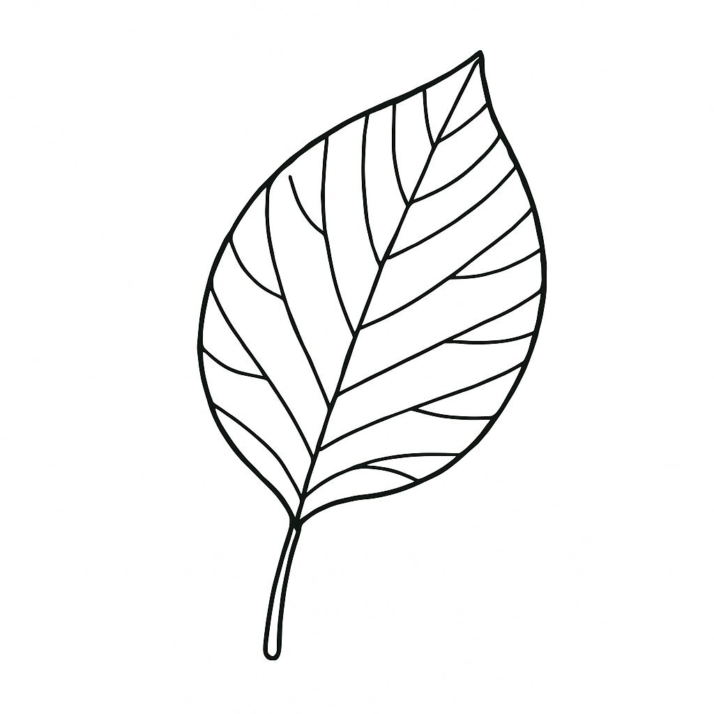 Still-Life Style Leaf