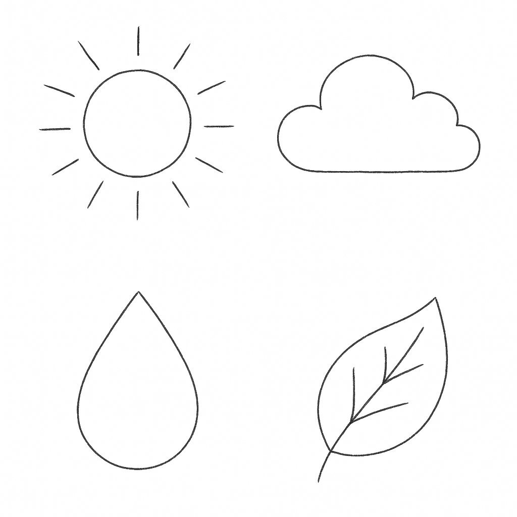 Sketch-Style Natural Phenomena