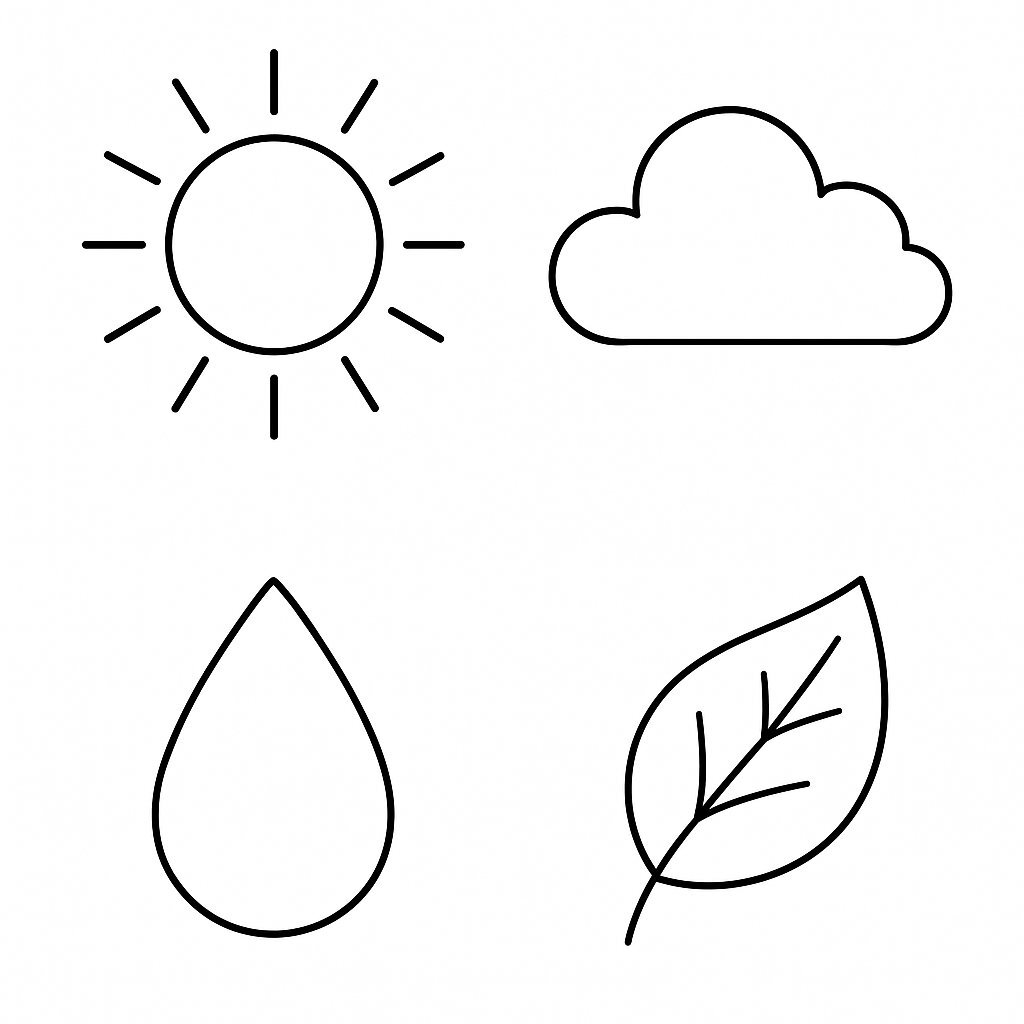Minimalist Natural Phenomena