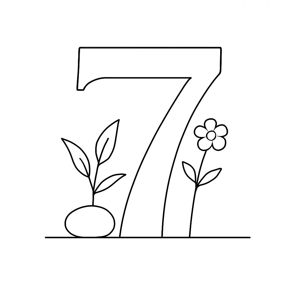 Number 7 Still Life