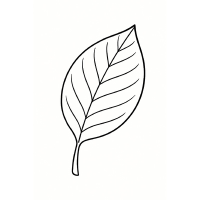 Leaf Coloring Pages for Kids 2026 - Free PDF Download