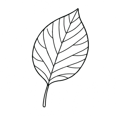 Leaf Coloring Pages for Kids 2026 - Free PDF Download