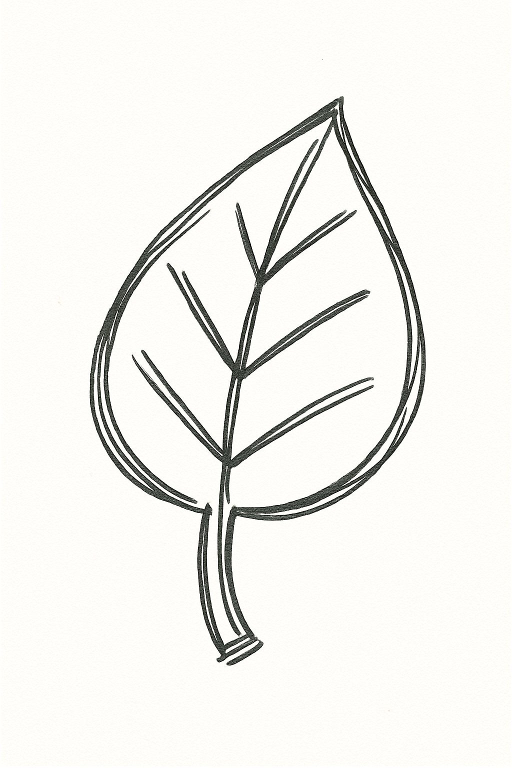 Doodle Sketch