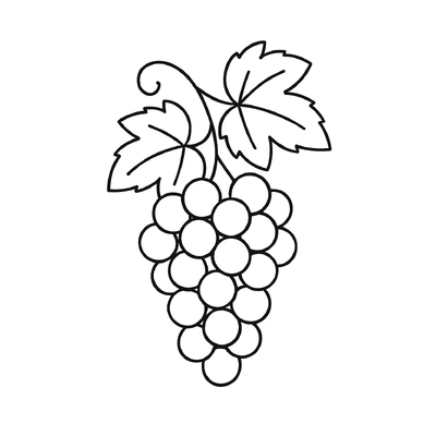 Grapes Coloring Pages for Kids 2026