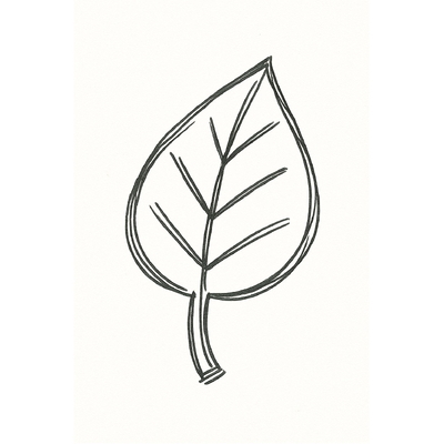 Simple Leaf Coloring Pages for Kids 2026 - Download PDF