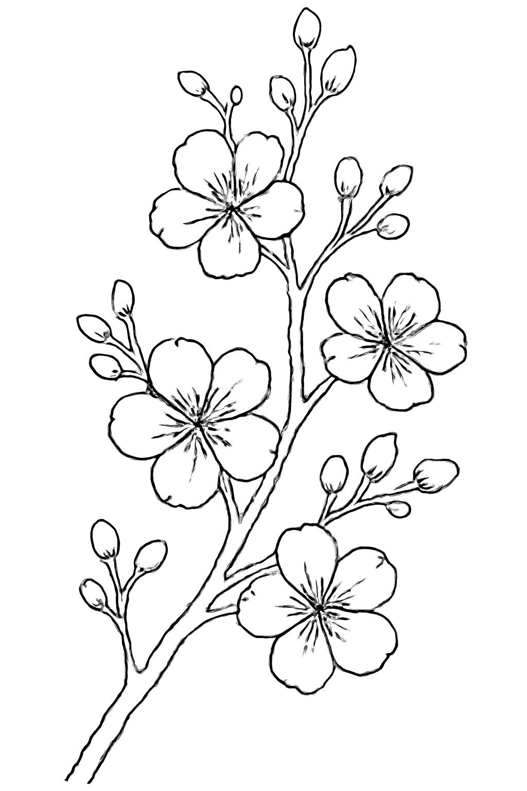 Traditional Style