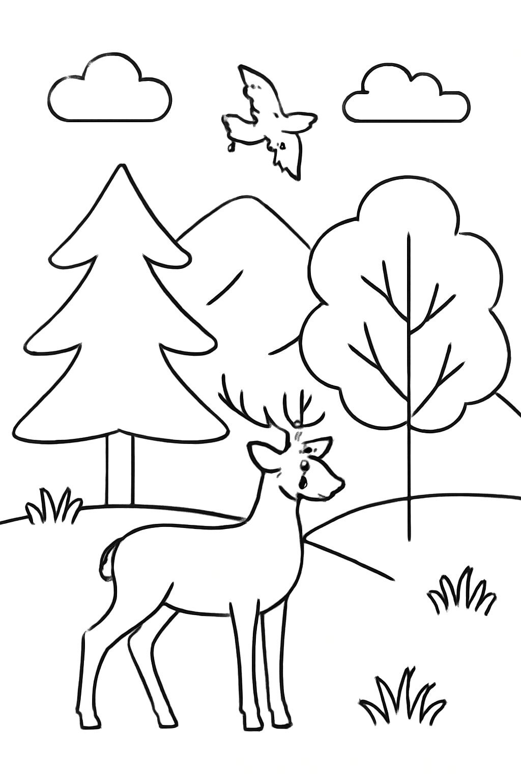 Wildlife Scenery