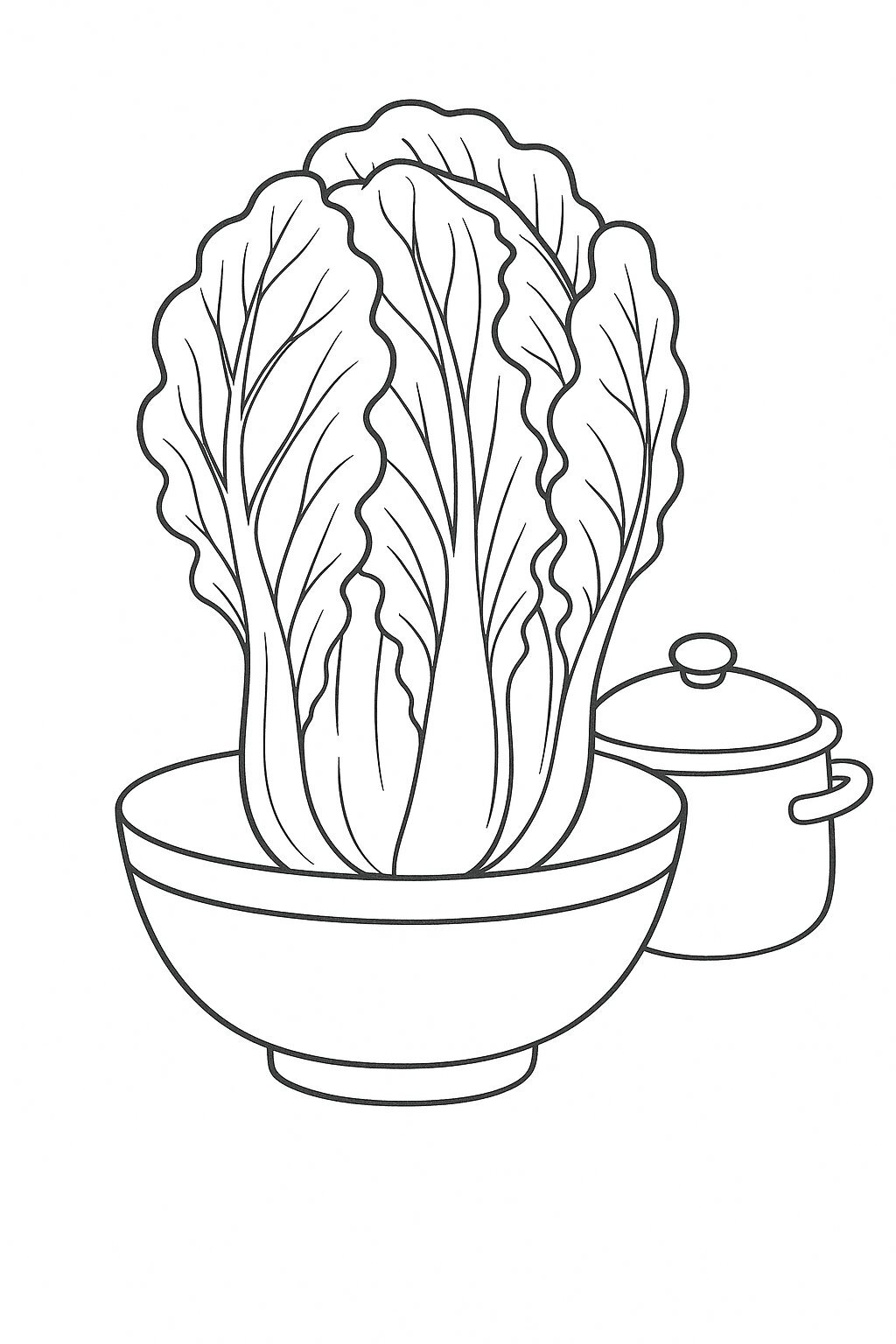 Cooking Illustration Style