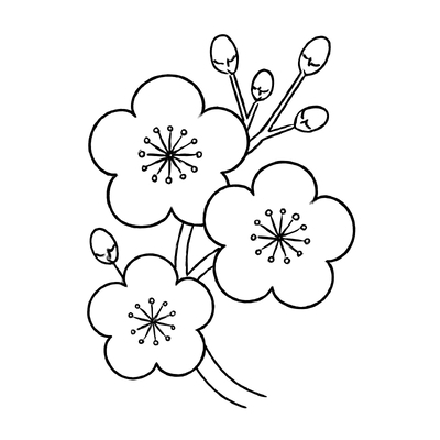 Beautiful and Printable Apricot Blossom Branch Coloring Pages for Kids PDF 2026