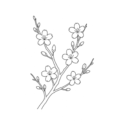 Beautiful and Printable Apricot Blossom Branch Coloring Pages for Kids PDF 2026