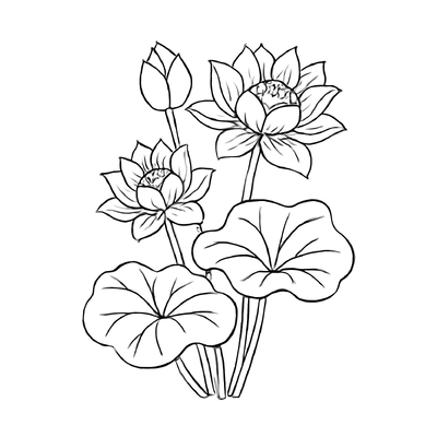 Lotus Leaf Coloring Pages for Kids 2026