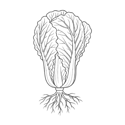 Vegetable Coloring Pages for Kids 2026