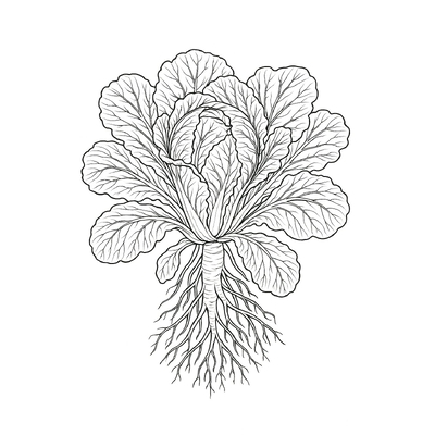 Vegetable Coloring Pages for Kids 2026