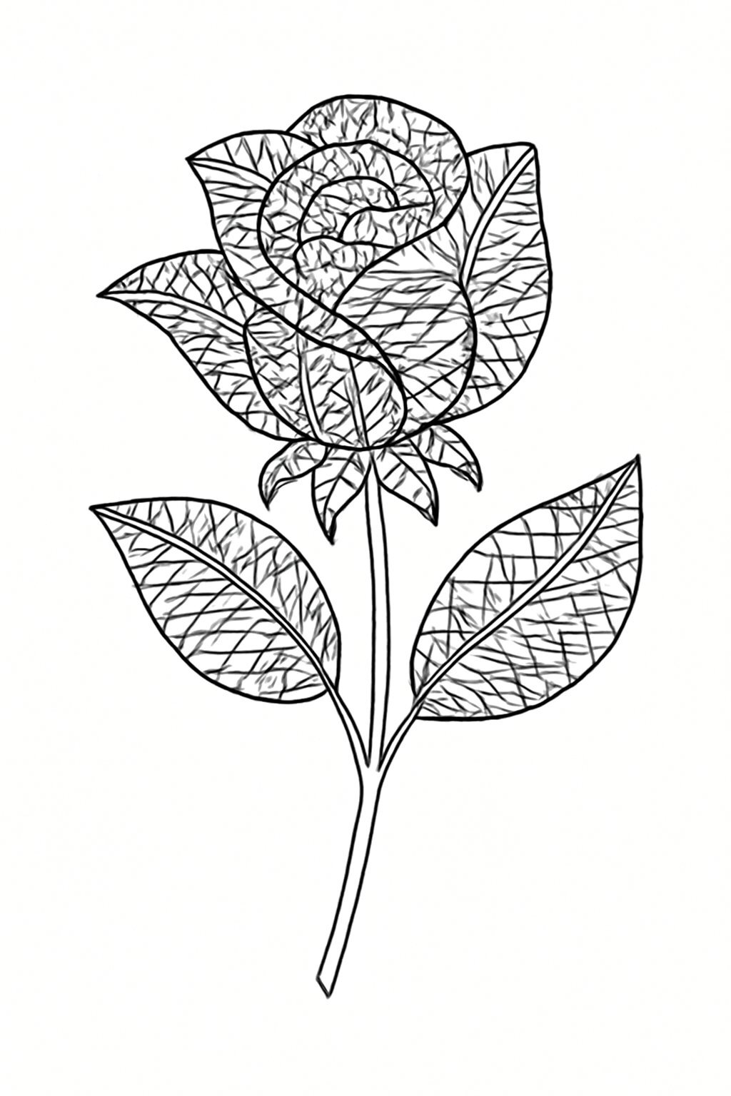 Zentangle Roses