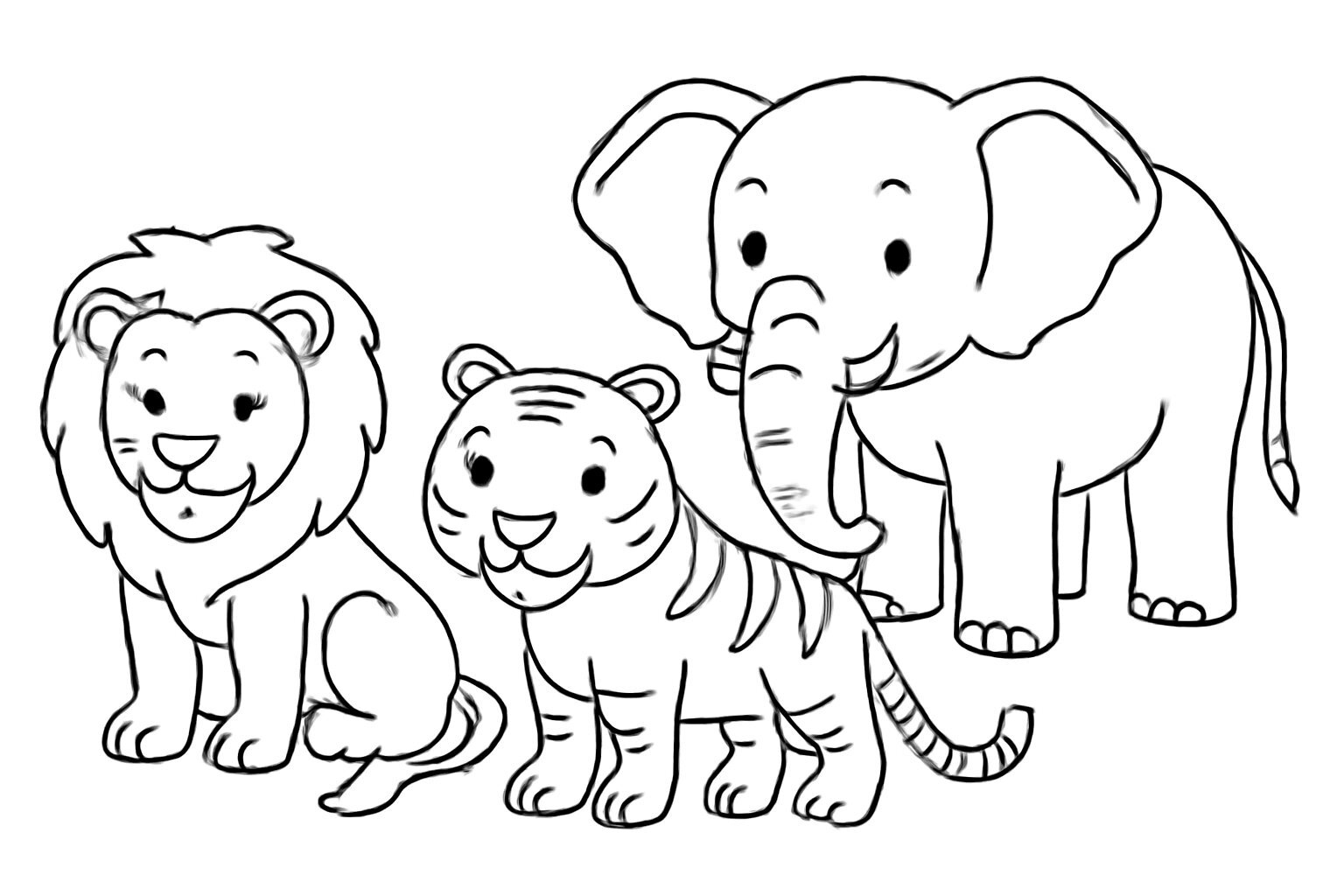 Wild Animals