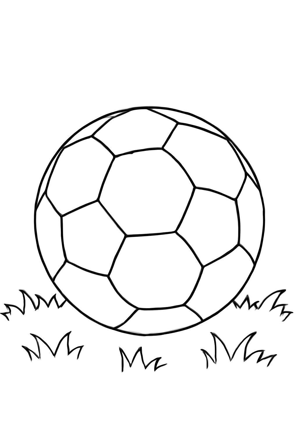Soccer Ball on the Grass Field