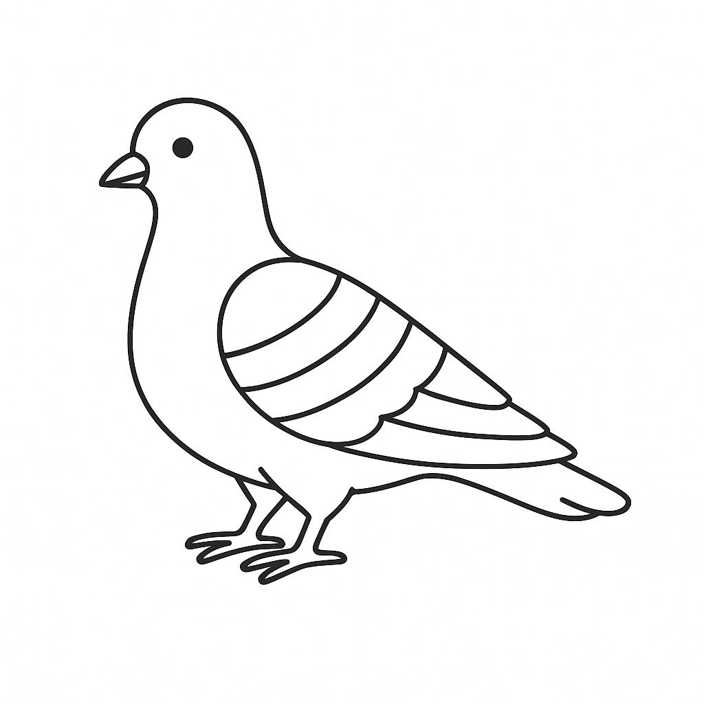 Rainbow Pigeon