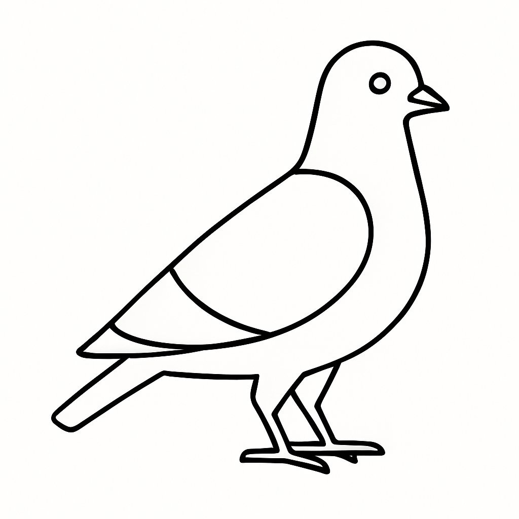 Modern Pigeon