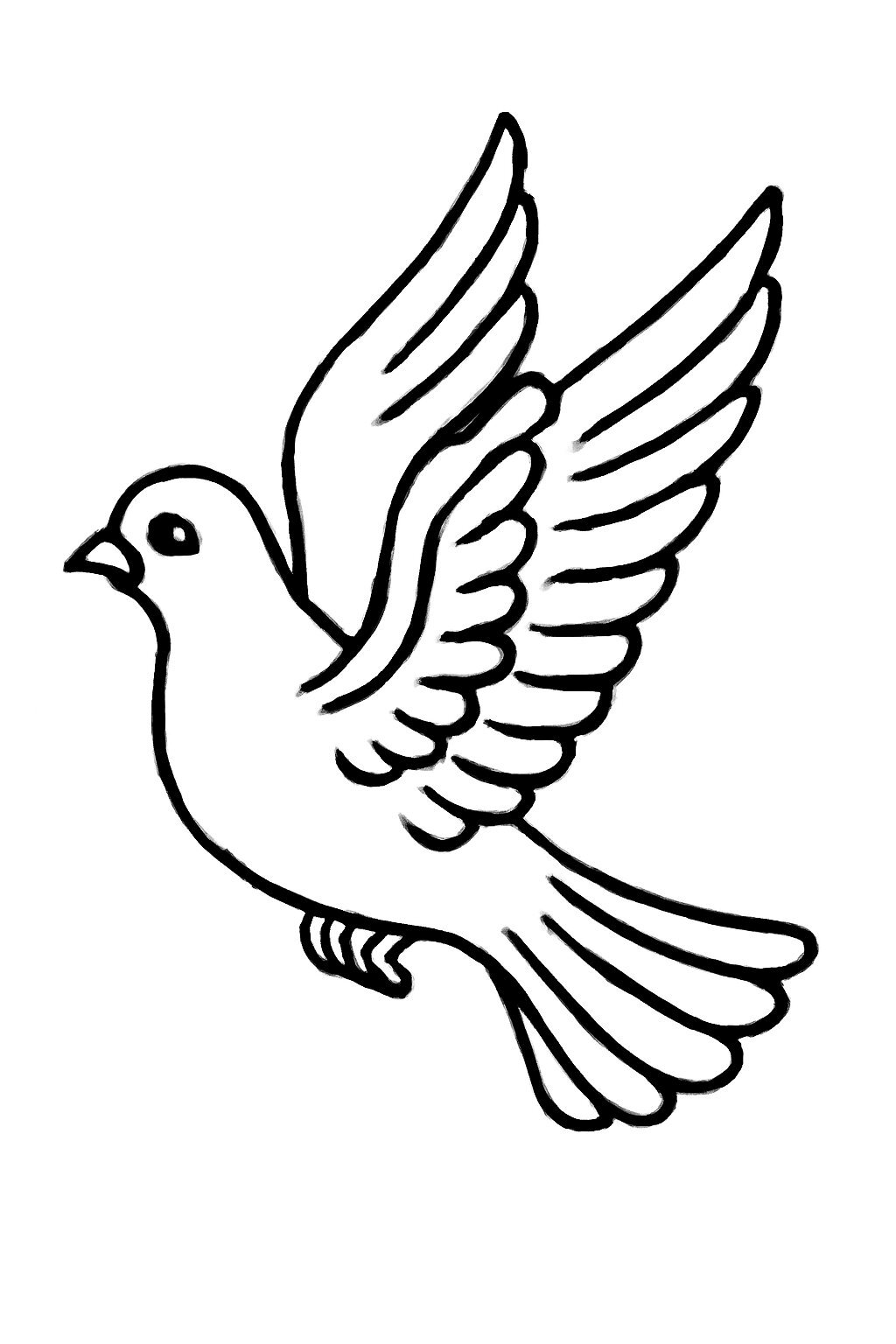 Classic Pigeon