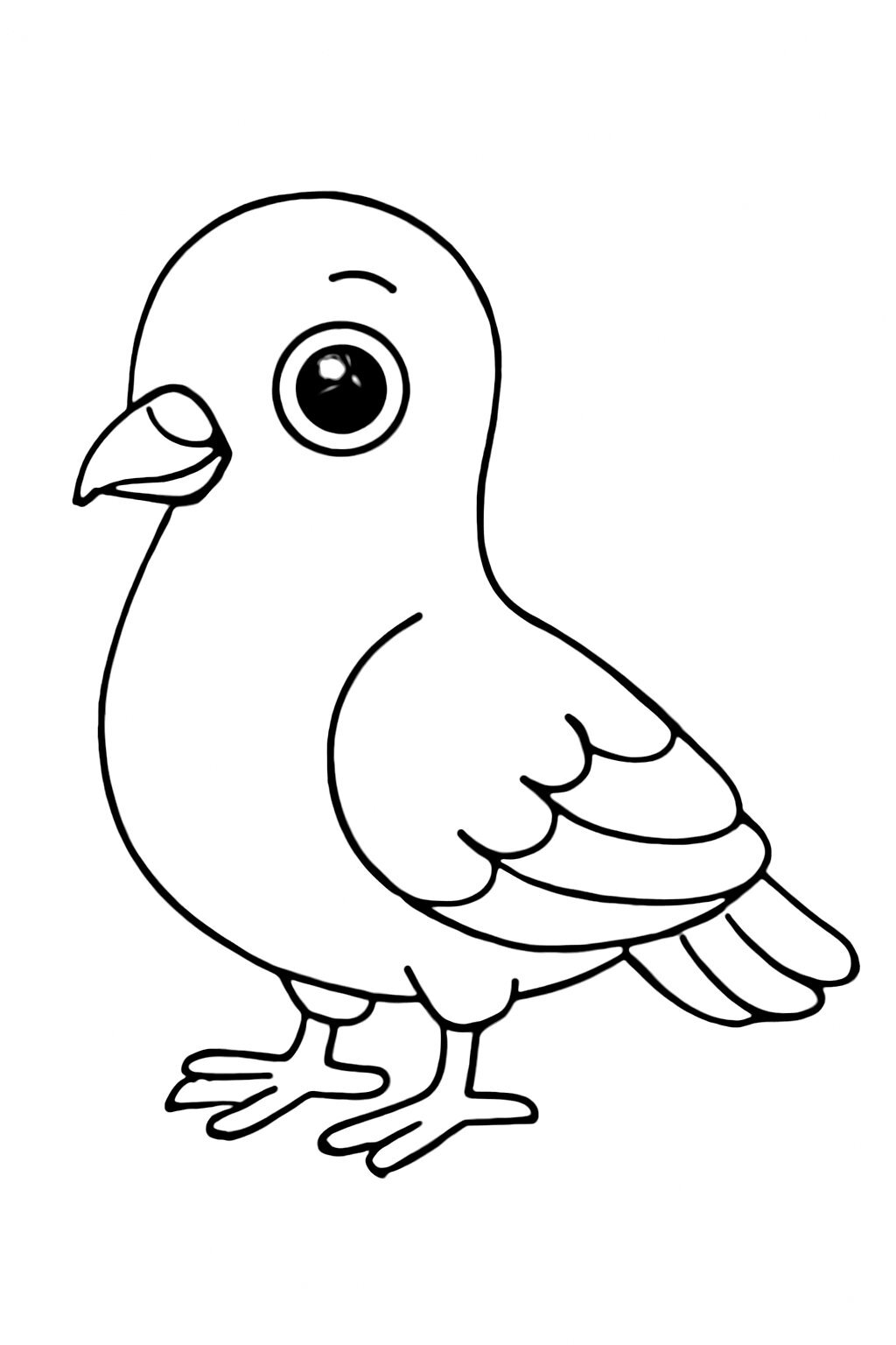 Cartoon Pigeon
